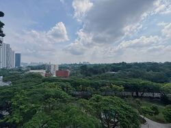 Blk 86 Skyville @ Dawson (Queenstown), HDB 4 Rooms #591433341